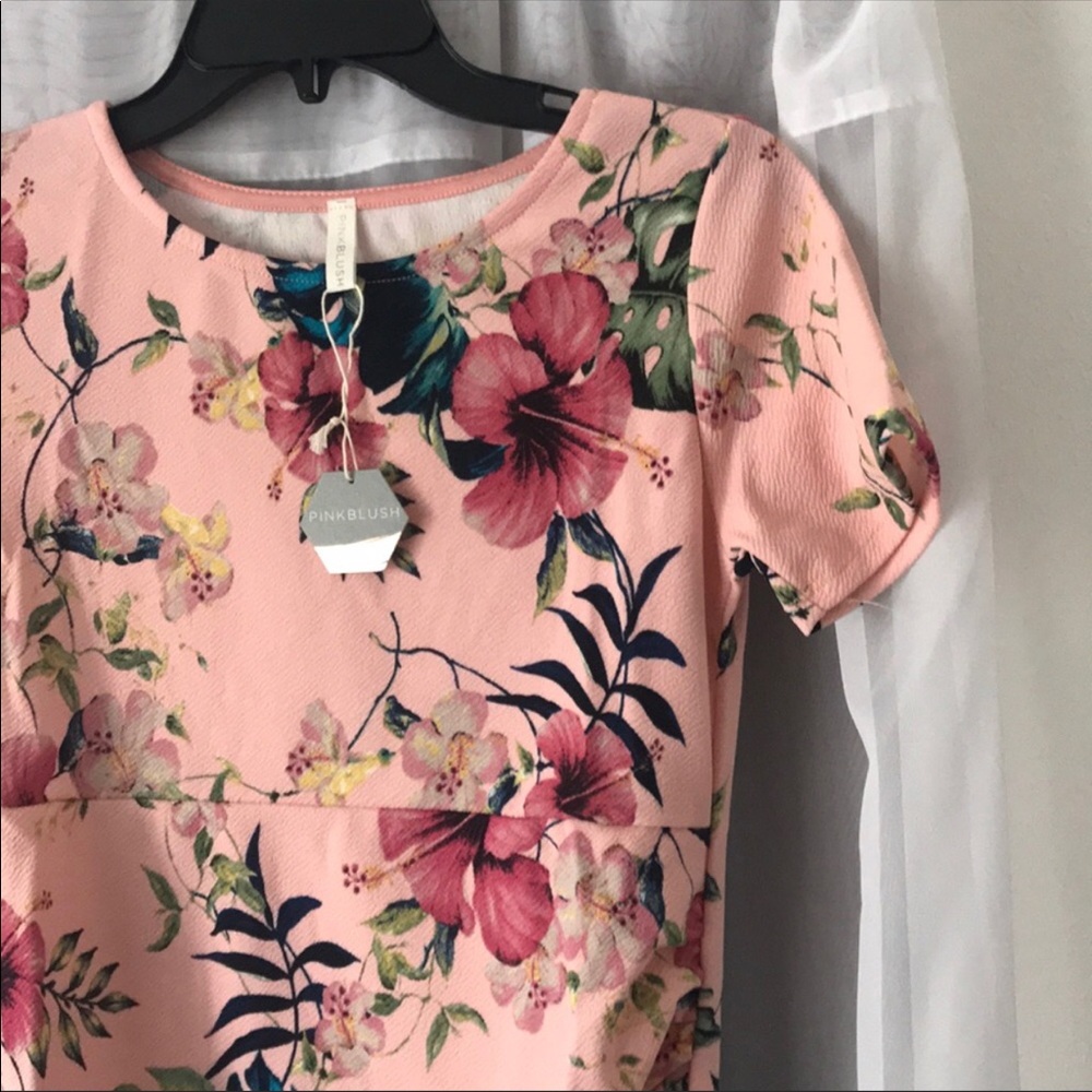 Pink Blush Maternity Dress